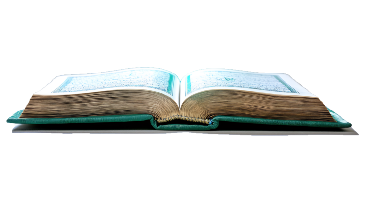 Quran learning online